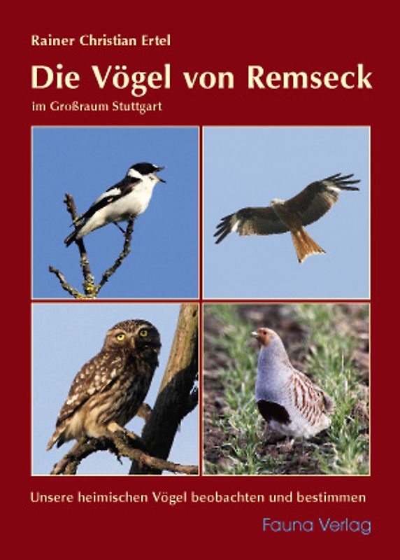 Die Vögel von Remseck