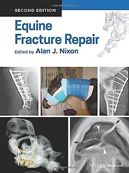Equine Fracture Repair