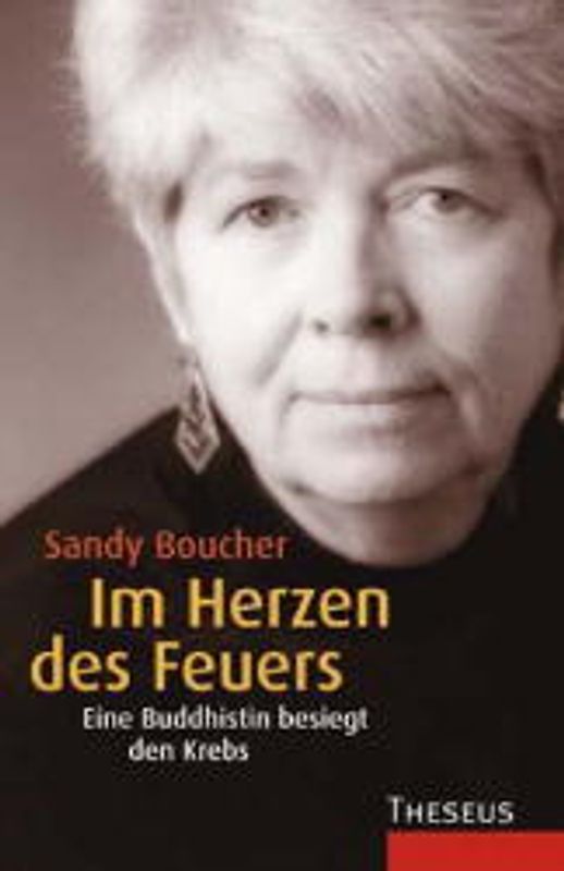 Im Herzen des Feuers