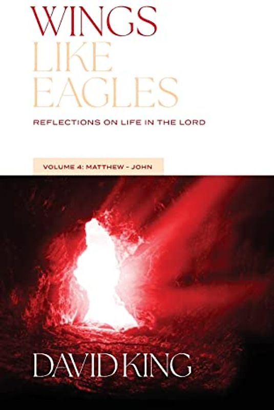 Wings Like Eagles: Reflections on Life in the Lord Vol. 4: Matthew-John
