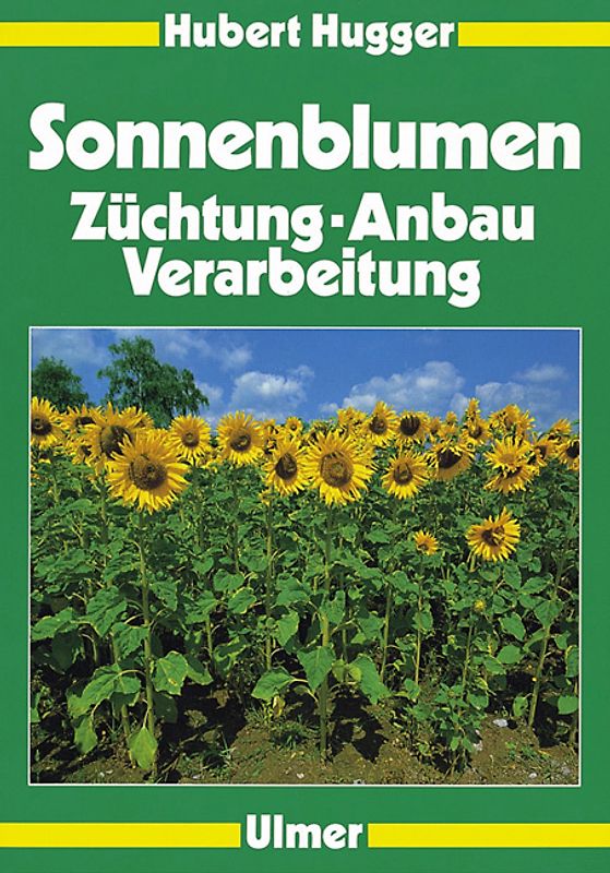 Sonnenblumen