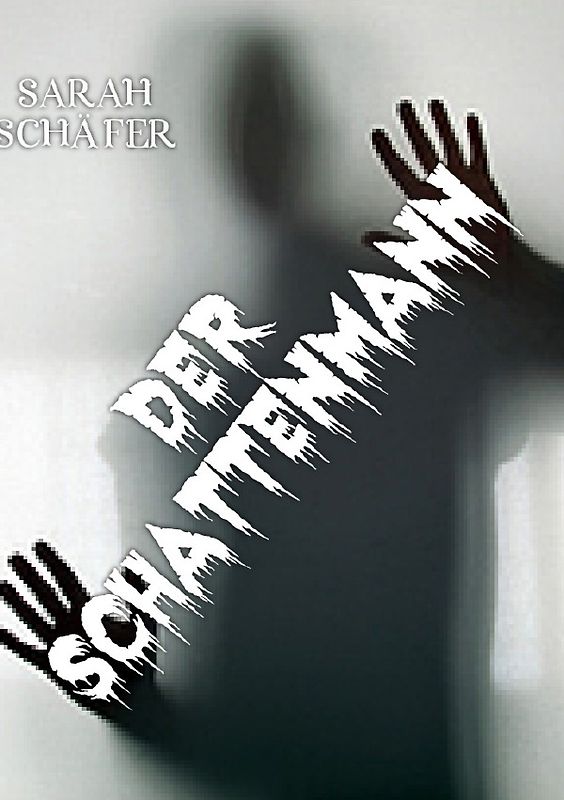 Jan und Maxies Abenteuer / der Schattenmann