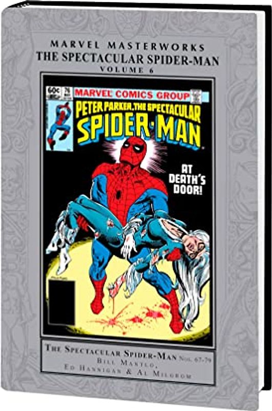 Marvel Masterworks: The Spectacular Spider-Man Vol. 6