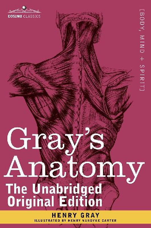 Gray's Anatomy