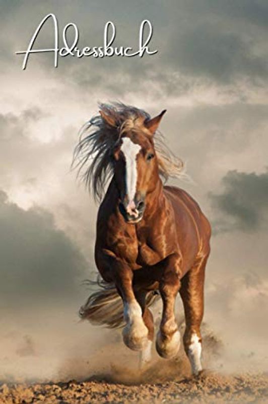 Adressbuch: Telefonbuch mit Inhaltsverzeichnis, A bis Z | A5 Format, praktisches Heft | Original | 728 Kontakte