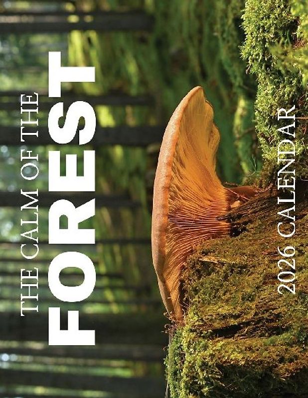 The Calm of the Forest 2026 Calendar