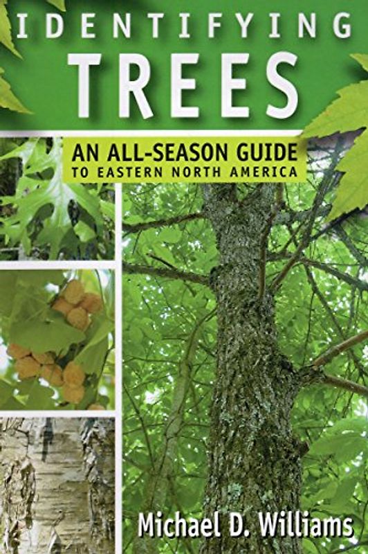 Identifying Trees: An All-Season Guide To Eastern North America: An All-Season Guide to the Eastern United States