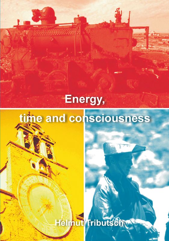 Energy, Time and Consciousness