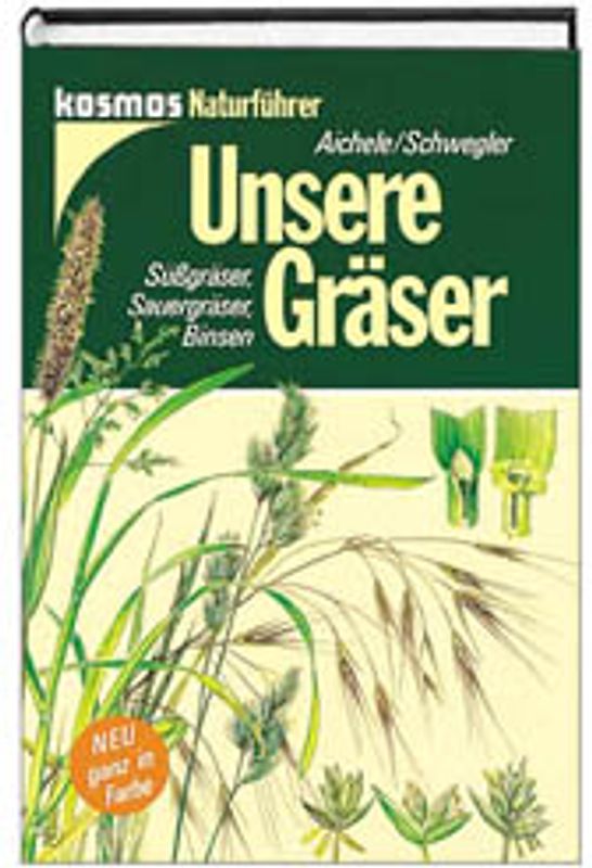 Unsere Gräser. Süssgräser, Sauergräser, Binsen