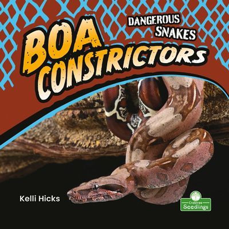 Boa Constrictors