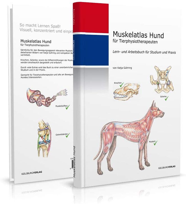 Muskelatlas Hund (Hardcover)