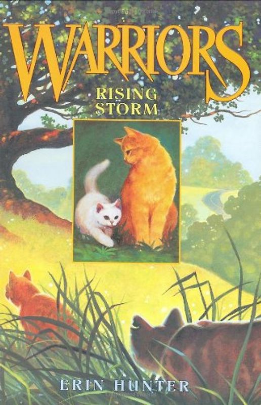 Warriors #4: Rising Storm - Erin Hunter
