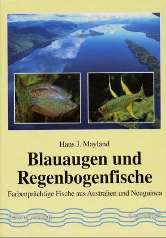 Blauaugen und Regenbogenfische