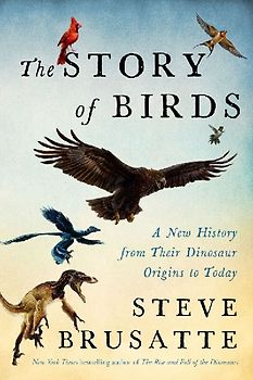 The Story of Birds