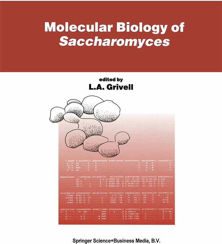 Molecular Biology of Saccharomyces