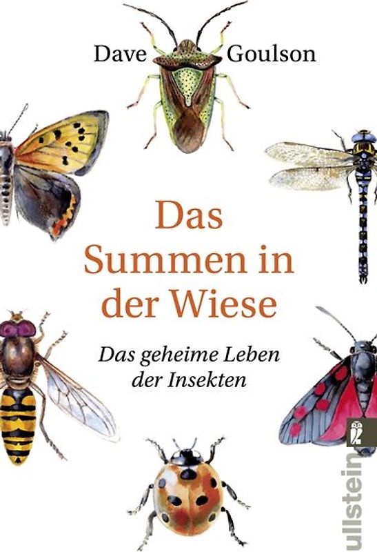 Das Summen in der Wiese