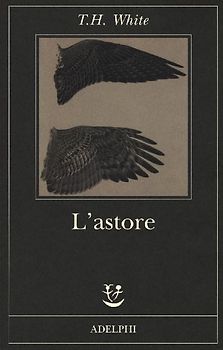 L' astore