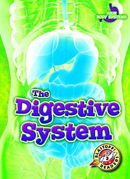 The Digestive System