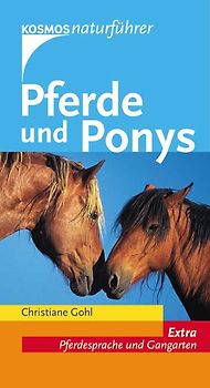 Pferde und Ponys