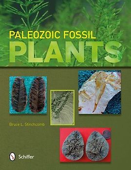 Paleozoic Fossil Plants
