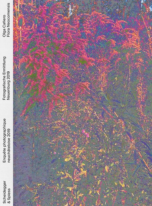 Olga Cafiero – Flora Neocomensis