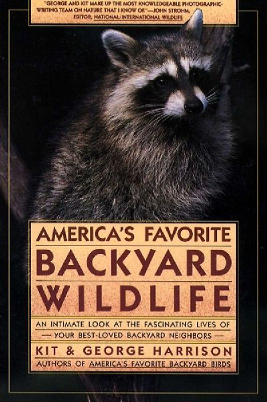 America's Favorite Backyard Wildlife