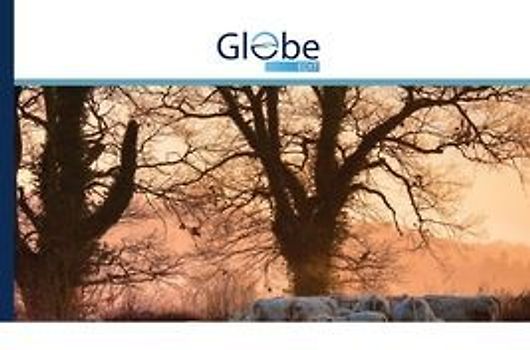 Inzichten tijdens de meditatie en de realiteit