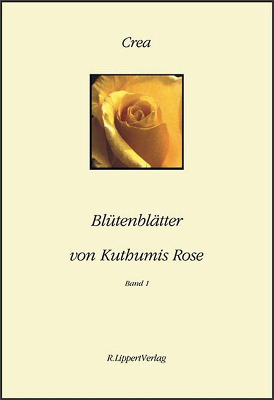 Blütenblätter von Kuthumis Rose