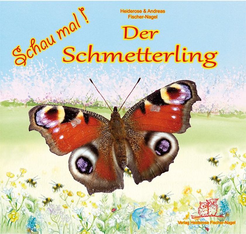 Schau mal ! / Schau mal Der Schmetterling