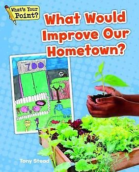 What Would Improve Our Hometown?
