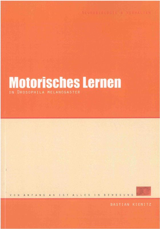 Motorisches Lernen in Drosophila melanogaster