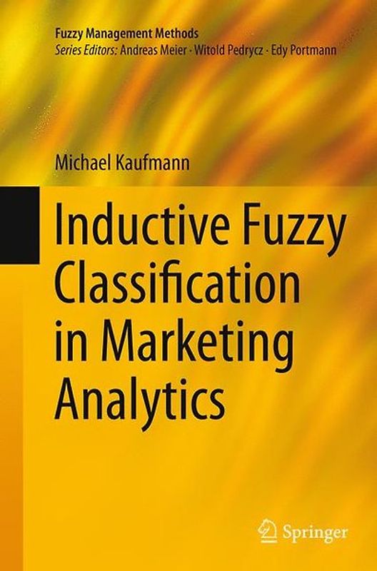 Inductive Fuzzy Classification in Marketing Analytics