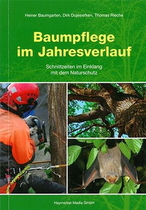 Baumpflege im Jahresverlauf