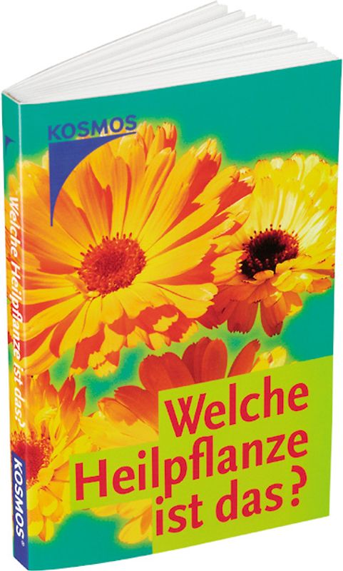 Welche Heilpflanze ist das?