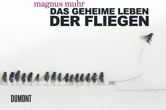Das geheime Leben der Fliegen
