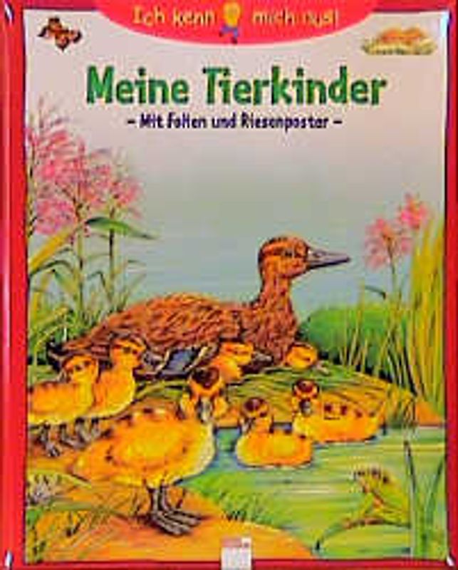 Meine Tierkinder