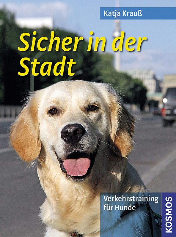 Sicher in der Stadt
