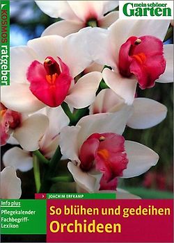 So blühen und gedeihen Orchideen