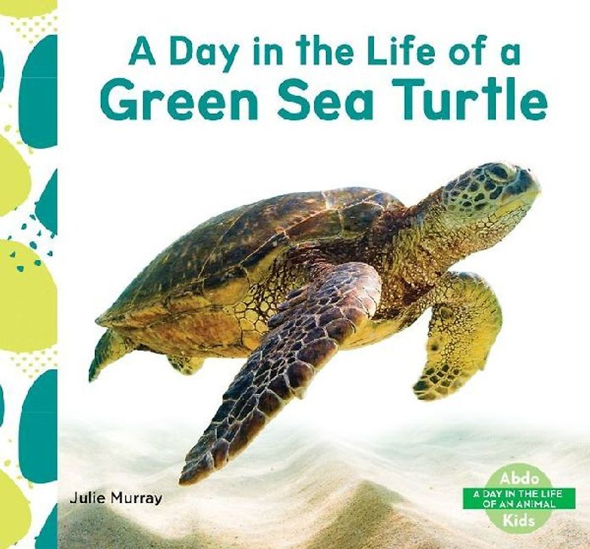 Day in the Life of a Green Sea Turtle