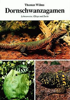 Dornschwanzagamen. Lebensweise, Pflege und Zucht