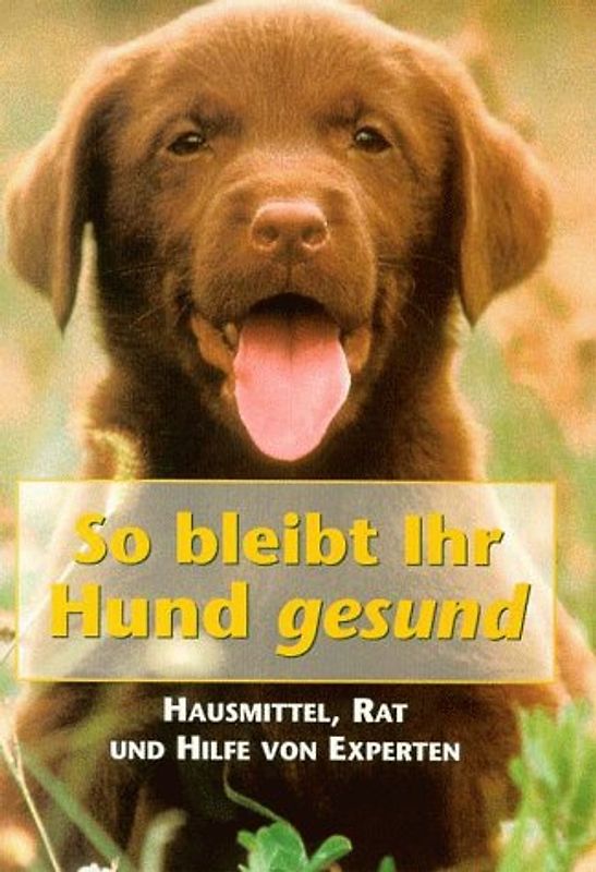 So bleibt Ihr Hund gesund. Hausmittel, Rat und Hilfe von Experten