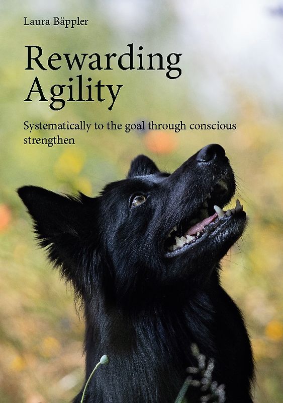 Rewarding Agility