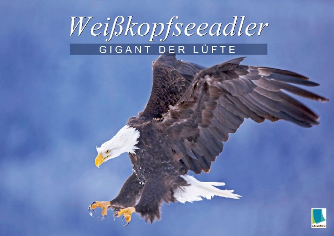 Gigant der Lüfte: Weißkopfseeadler (Posterbuch DIN A3 quer)