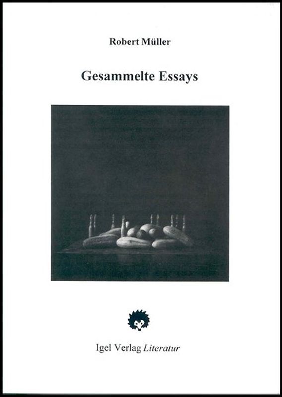 Robert Müller Werkausgabe / Gesammelte Essays