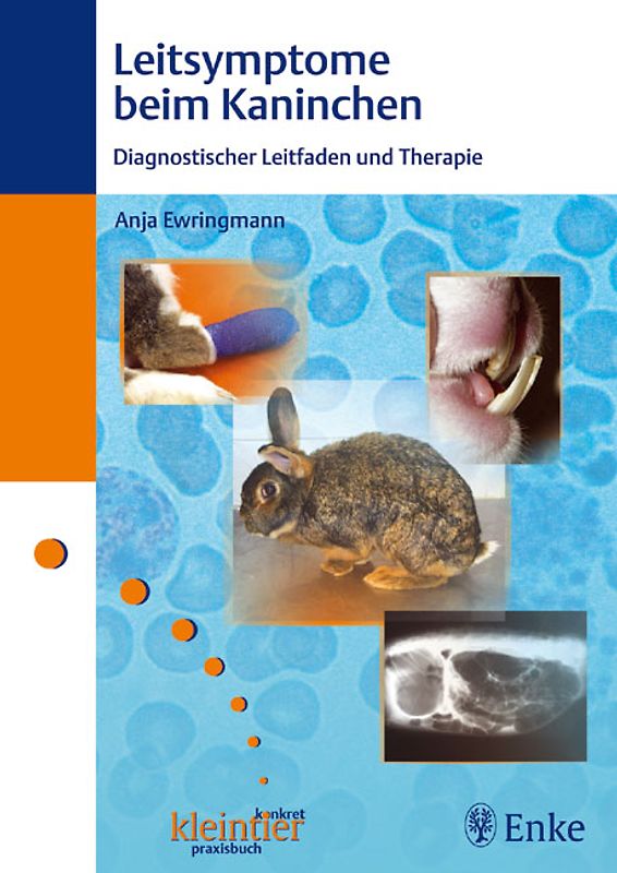 Leitsymptome beim Kaninchen