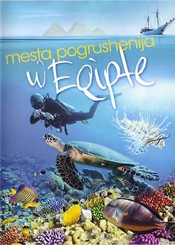Mesta pogruzshenija w Egipte DVD
