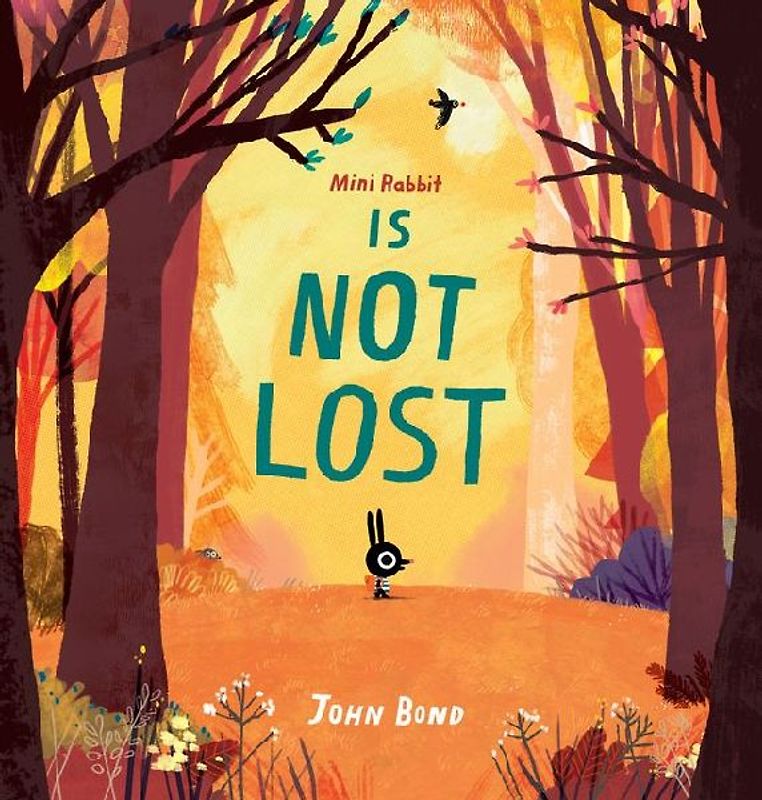 Mini Rabbit Is Not Lost