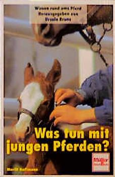 Was tun mit jungen Pferden?