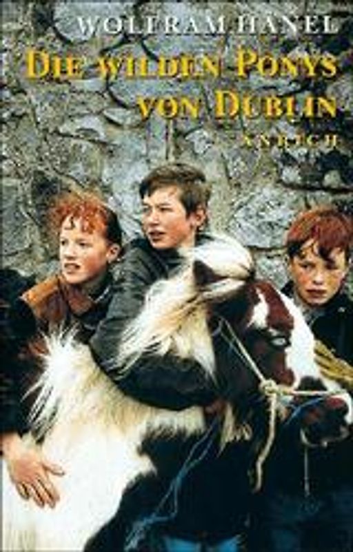 Die wilden Ponys von Dublin