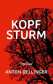 Kopfsturm
